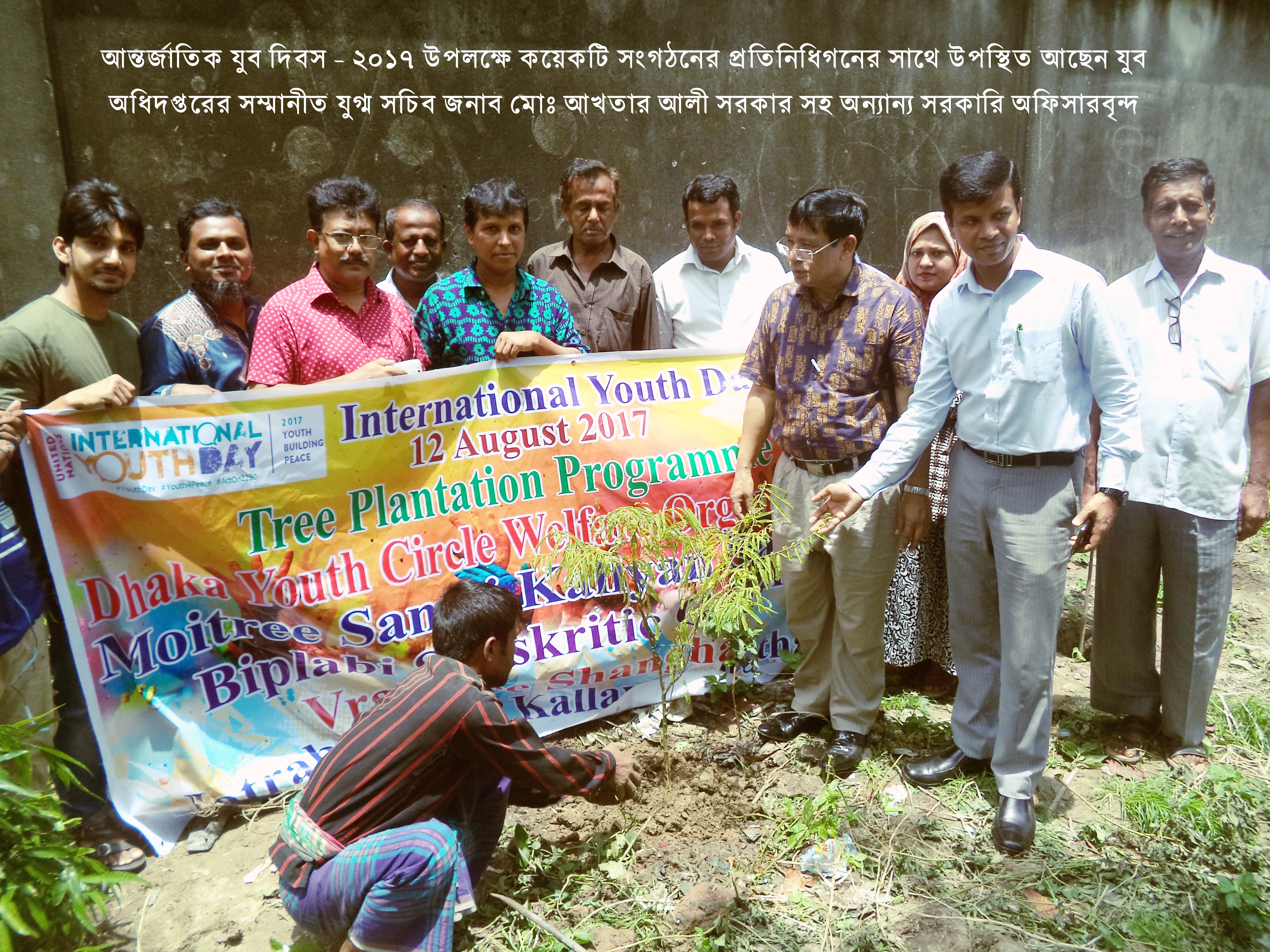 Tree Plantation